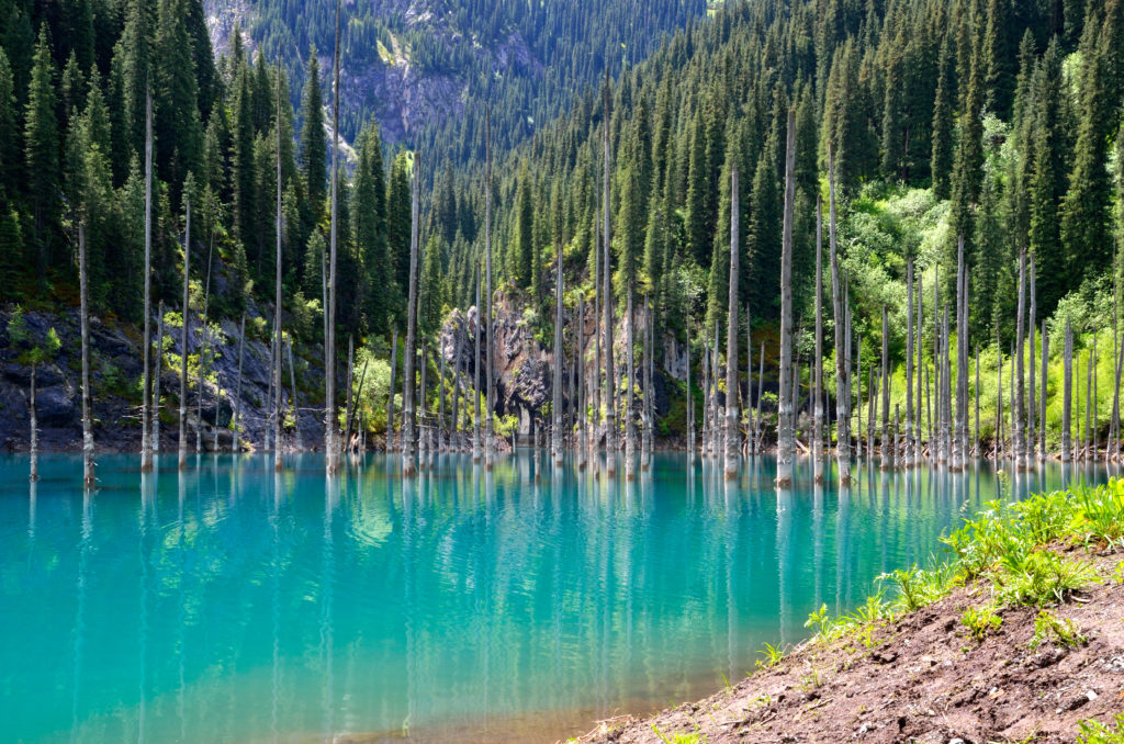 lake-kaindy-in-kazakhstan-is-uniquely-beautiful-traveler-master