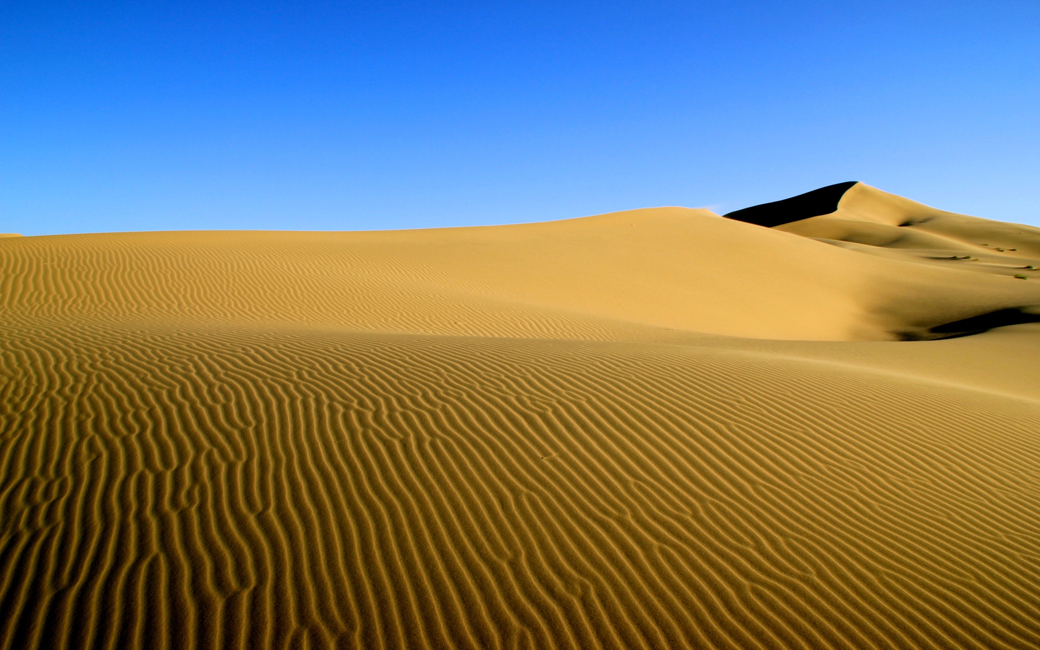 Монголия Гоби. Пустыня и море. Пустыня Гоби. Climate change in Deserts.