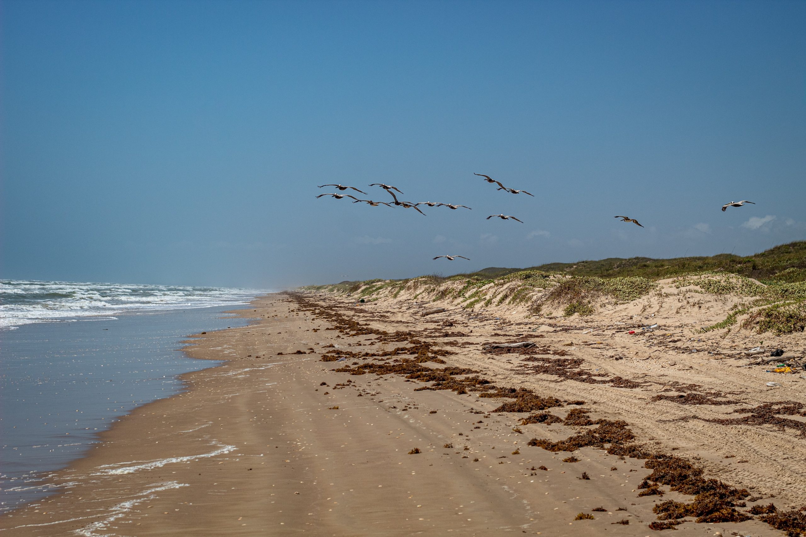State Parks Along the Texas Gulf Coast