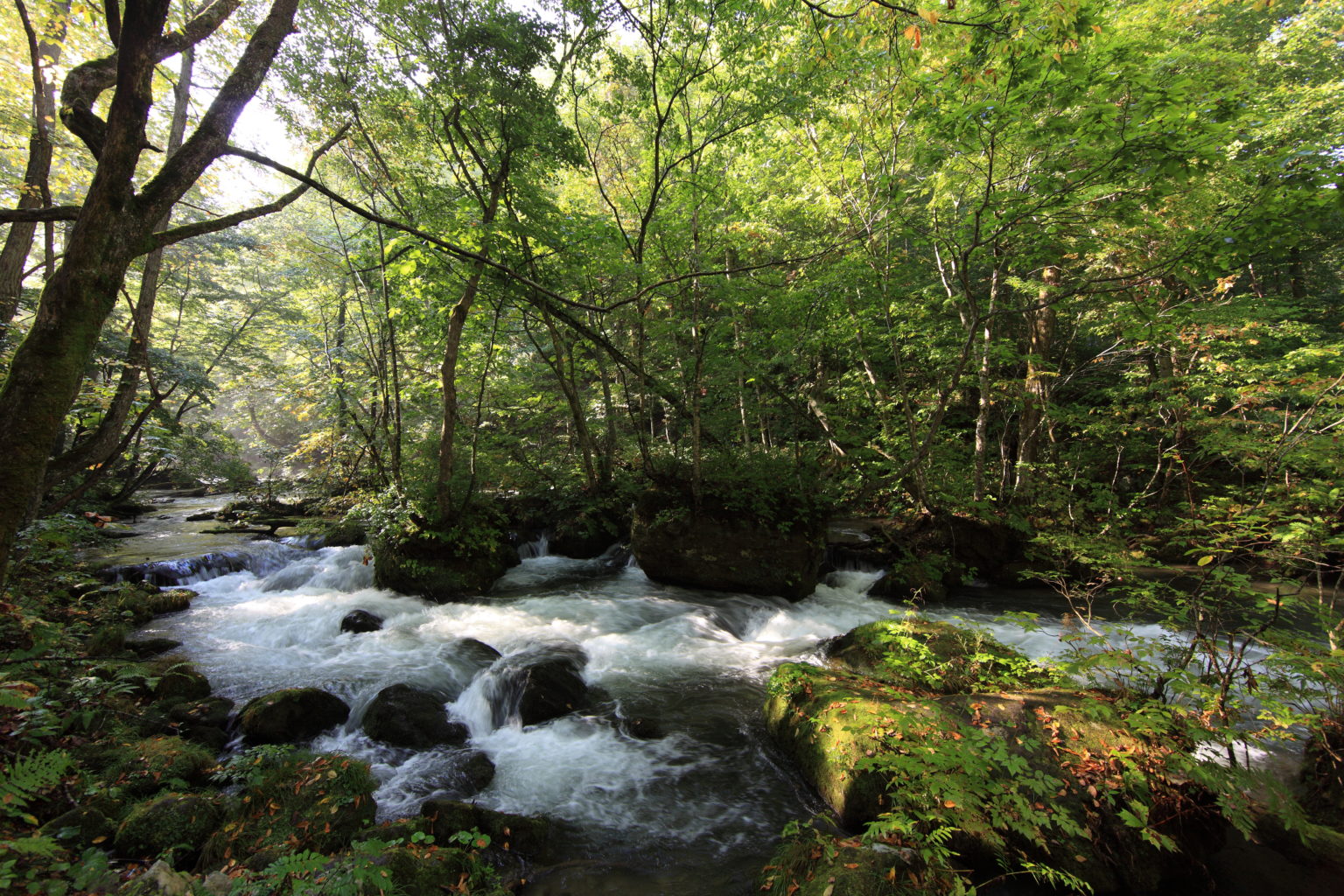 These Japanese National Parks are a Must-see for Nature Lovers ...