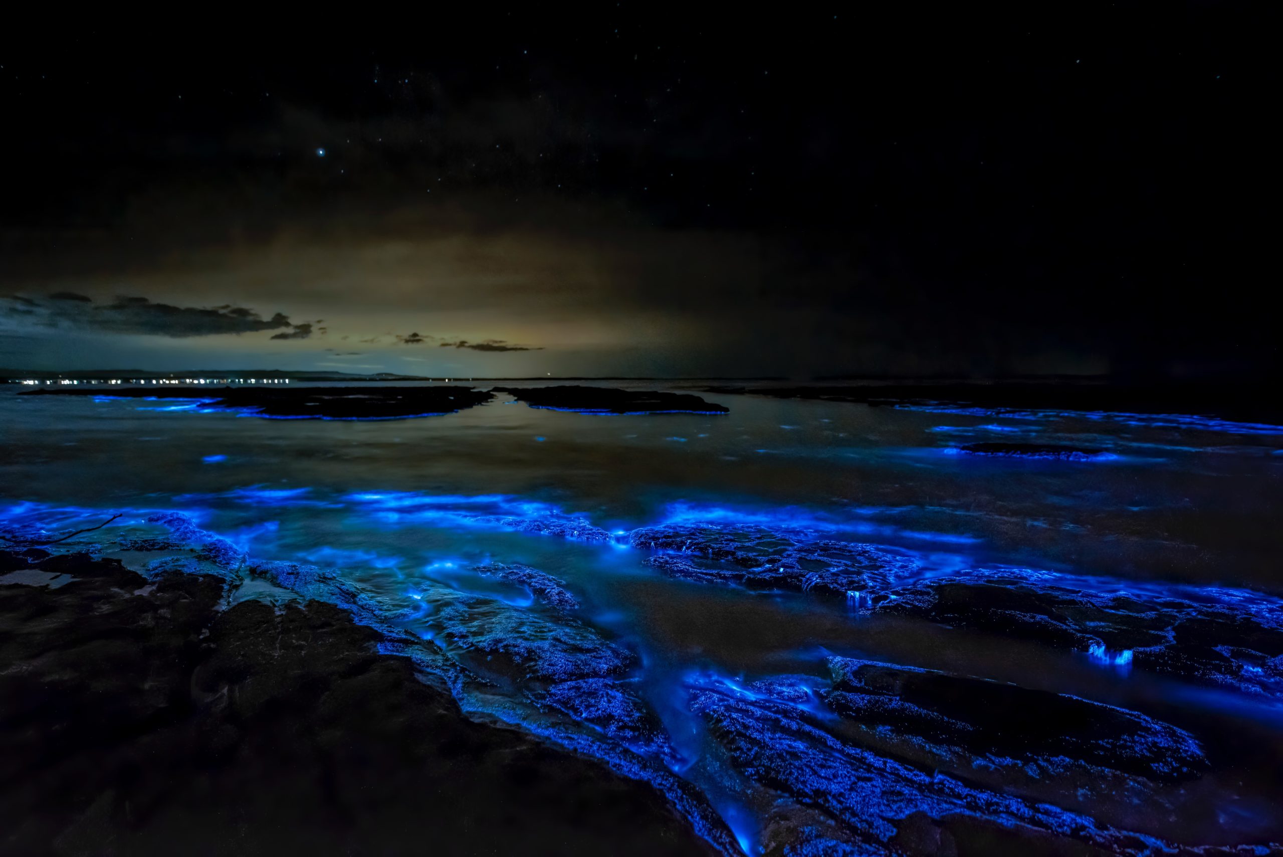 Here's Where to See the Best Bioluminescent Scenery - Traveler Master