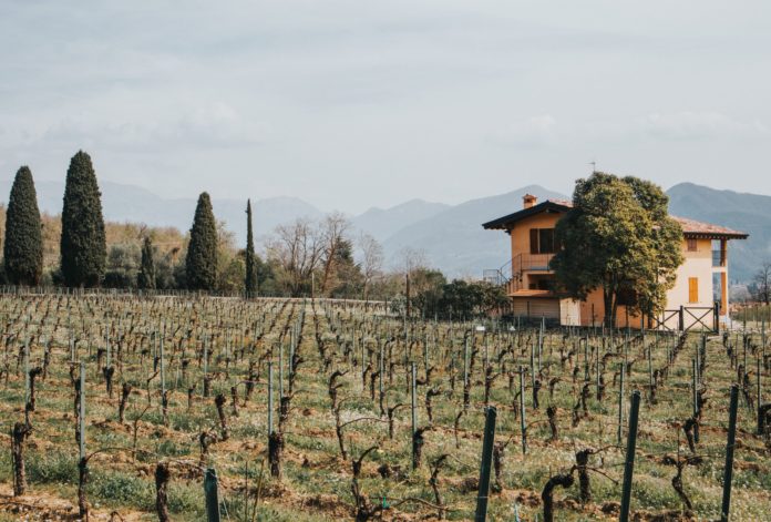 A winery in Tuscany, Italy