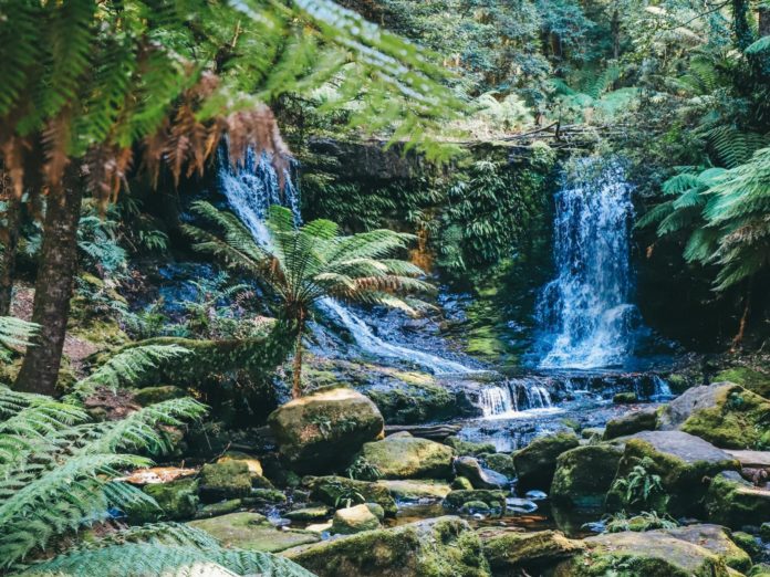 Tasmania waterfalls