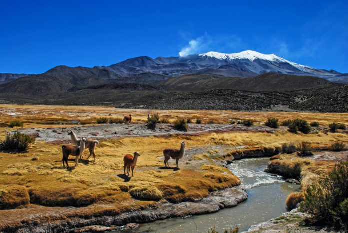 Sajama National Park, Bolivia