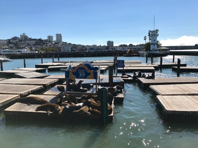 Pier 39, San Francisco, CA.