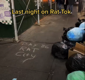 rat tours in nyc