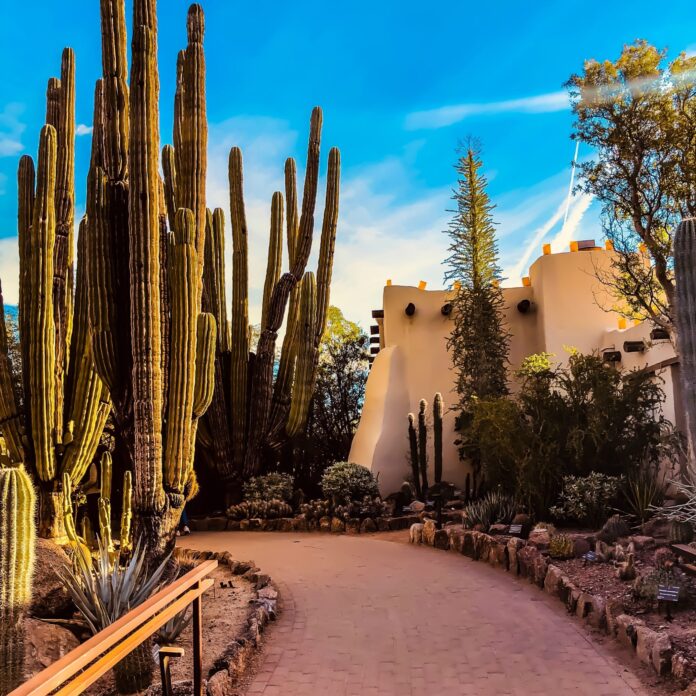 Desert Botanical Garden, Phoenix, United States