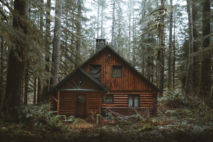 cozy cabin