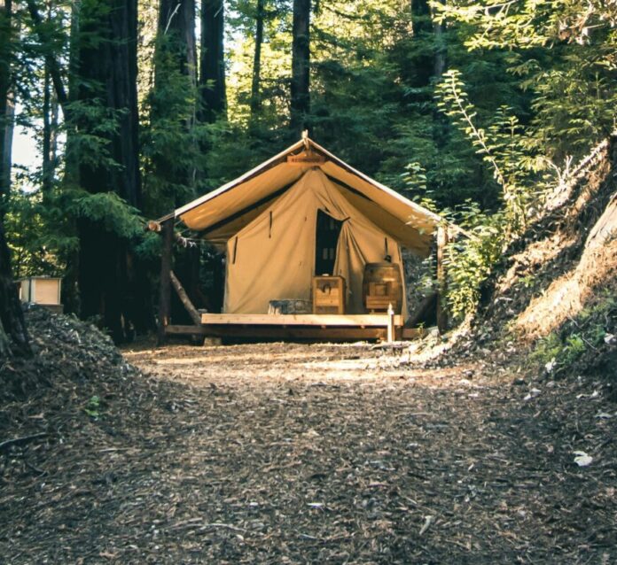 Cabin in the Redwoods of Big Sur, California.